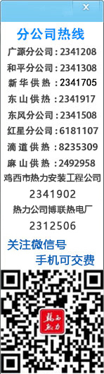 岳陽星光電磁科技有限公司
